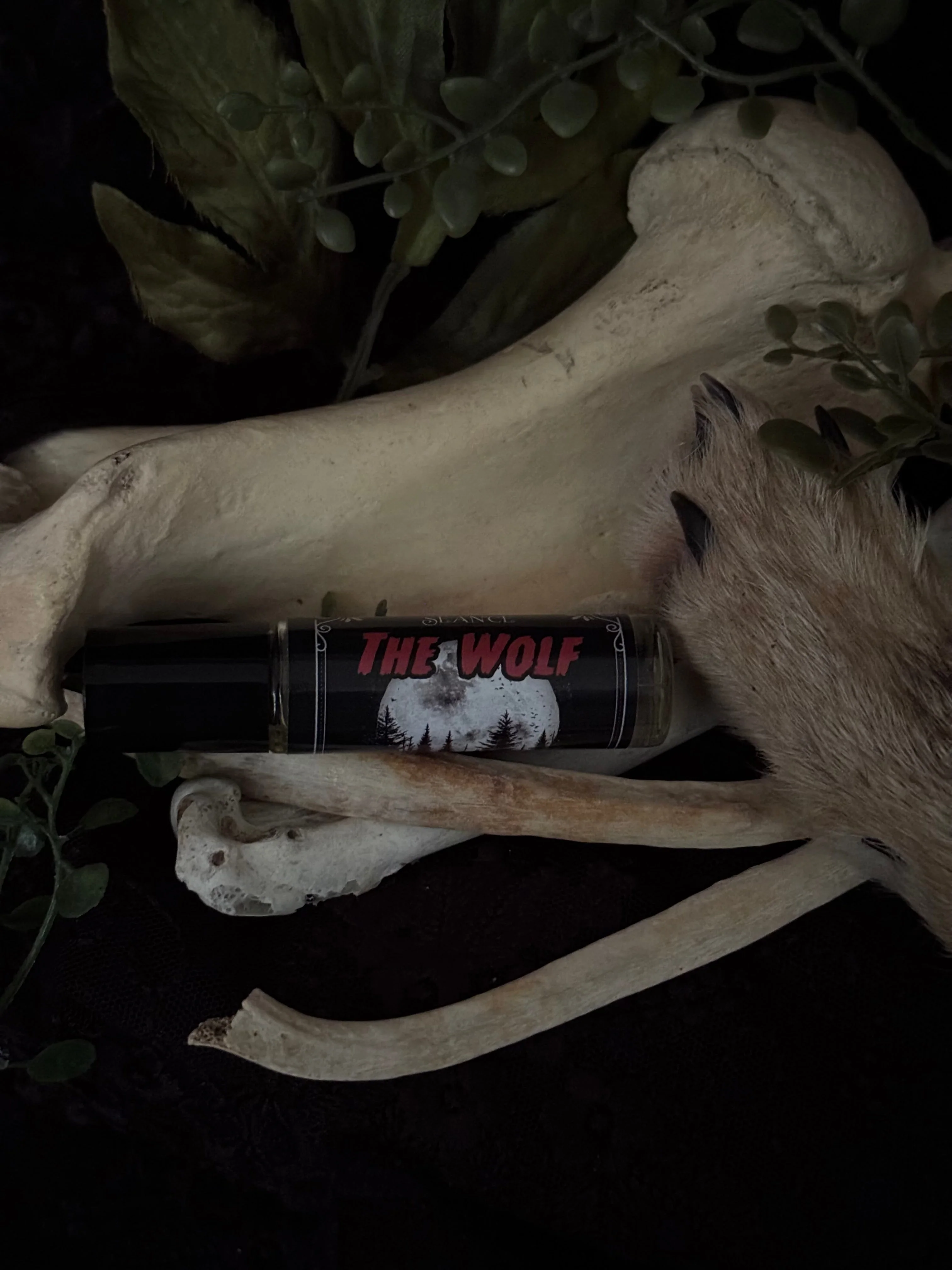 The Wolf (forest & musk) - Image 11