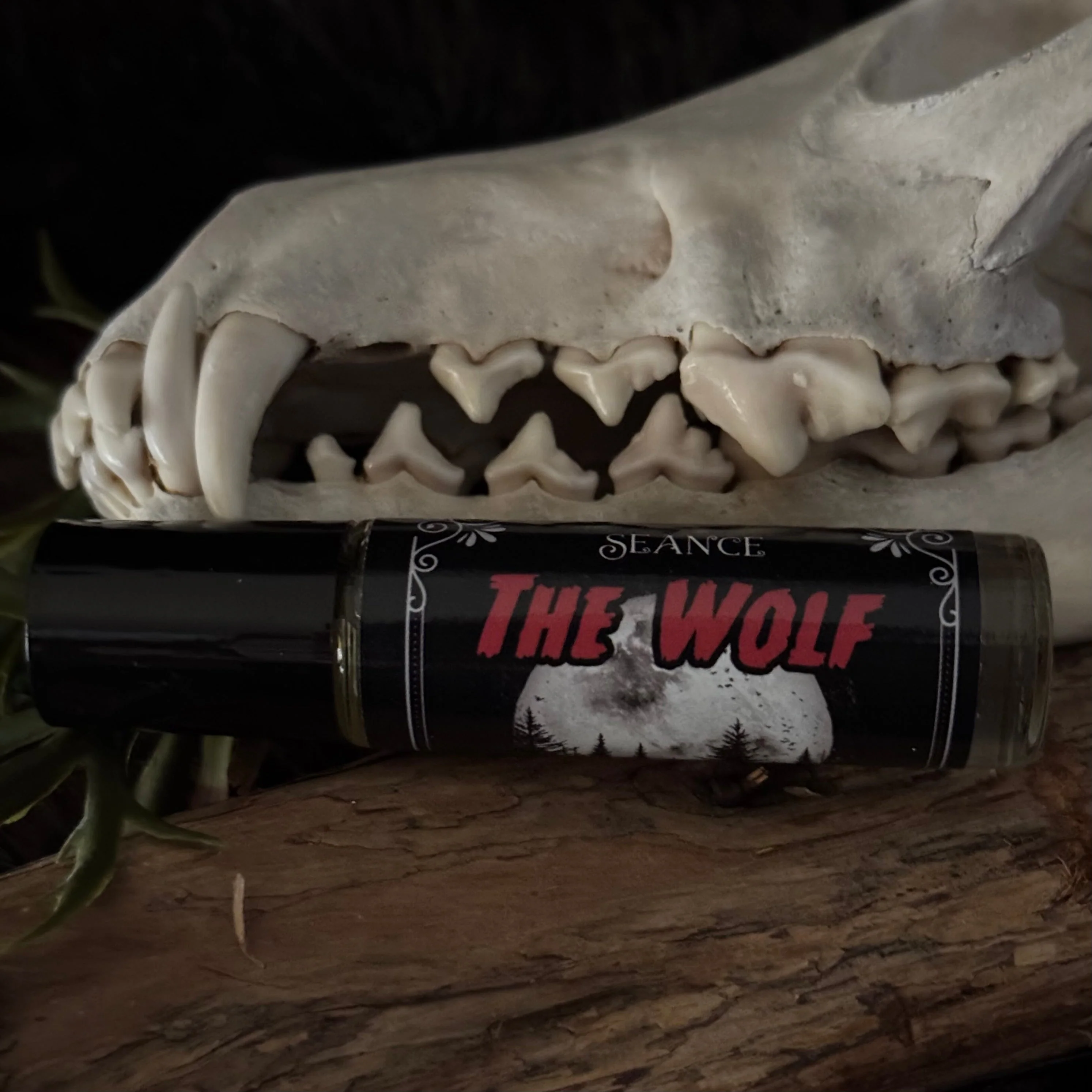 The Wolf (forest & musk) - Image 13